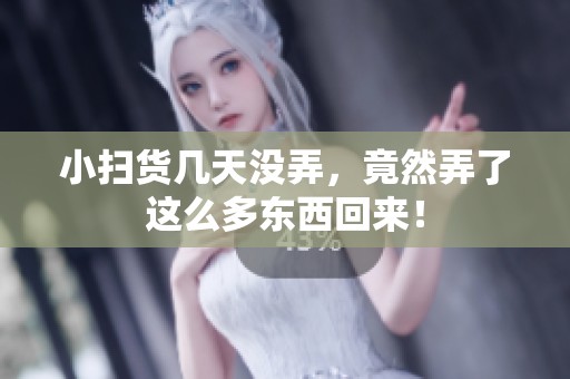 小扫货几天没弄，竟然弄了这么多东西回来！