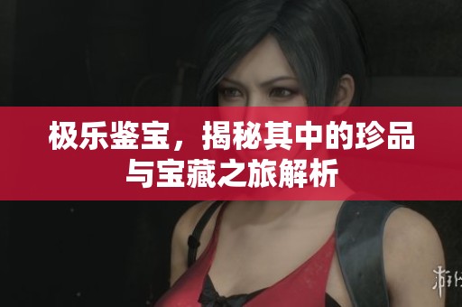 极乐鉴宝，揭秘其中的珍品与宝藏之旅解析