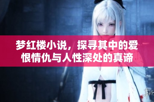 梦红楼小说，探寻其中的爱恨情仇与人性深处的真谛