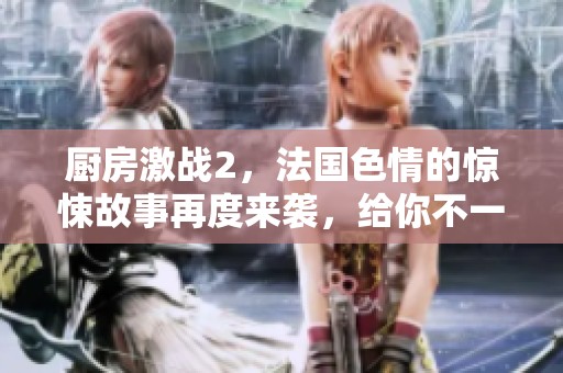 厨房激战2，法国**的惊悚故事再度来袭，给你不一样的视觉体验
