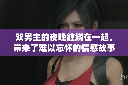 双男主的夜晚缠绕在一起，带来了难以忘怀的情感故事