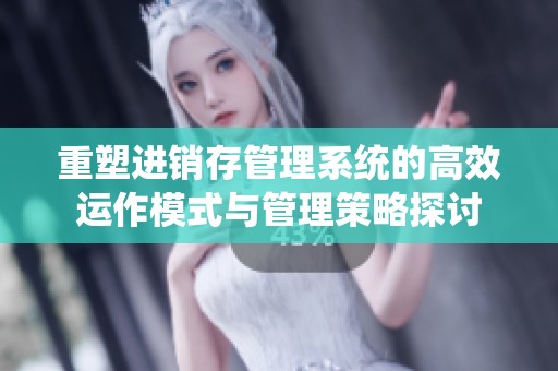 重塑进销存管理系统的高效运作模式与管理策略探讨