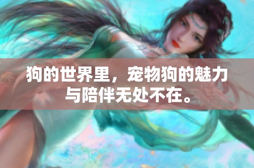 狗的世界里，宠物狗的魅力与陪伴无处不在。