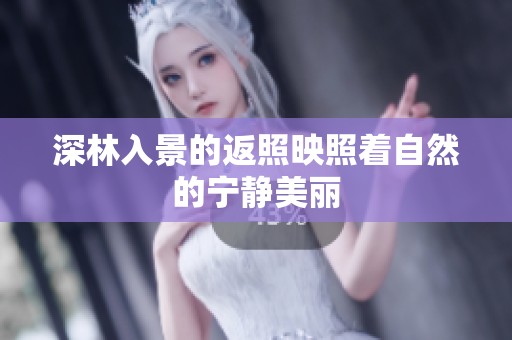深林入景的返照映照着自然的宁静美丽