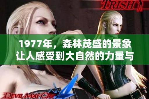 1977年，森林茂盛的景象让人感受到大自然的力量与魅力