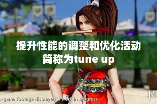 提升性能的调整和优化活动简称为tune up