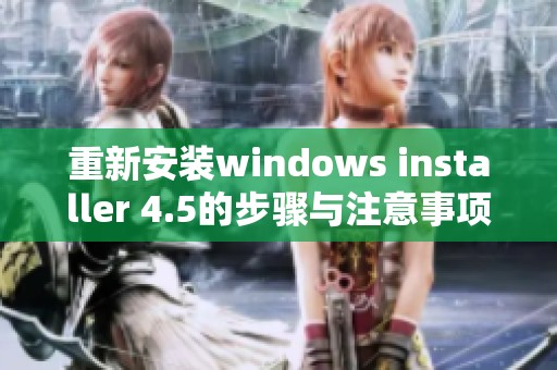 重新安装windows installer 4.5的步骤与注意事项探讨
