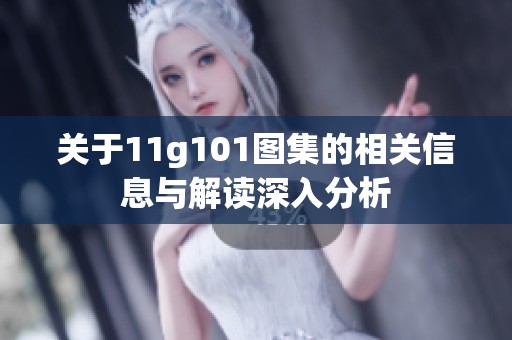 关于11g101图集的相关信息与解读深入分析