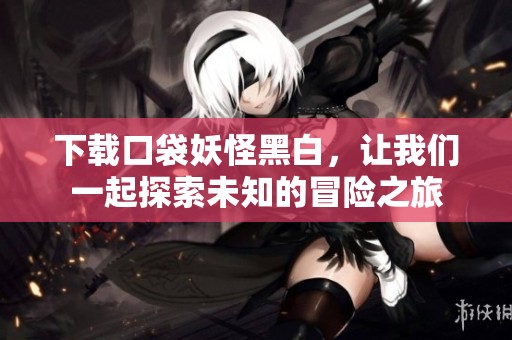下载口袋妖怪黑白，让我们一起探索未知的冒险之旅