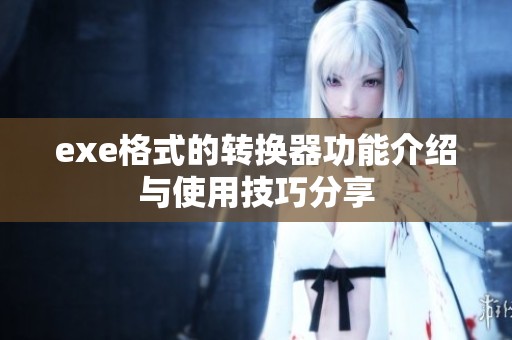 exe格式的转换器功能介绍与使用技巧分享