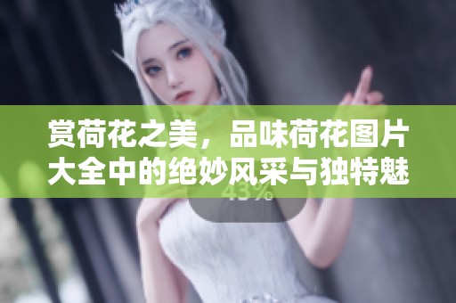 赏荷花之美，品味荷花图片大全中的绝妙风采与独特魅力