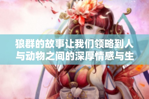 狼群的故事让我们领略到人与动物之间的深厚情感与生存的智慧