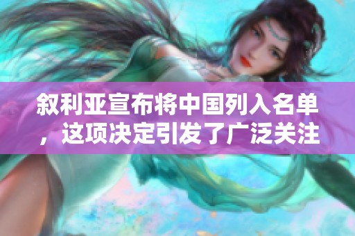 叙利亚宣布将中国列入名单，这项决定引发了广泛关注与讨论。