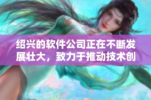 绍兴的软件公司正在不断发展壮大，致力于推动技术创新与服务提升。