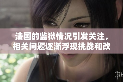法国的监狱情况引发关注，相关问题逐渐浮现挑战和改革的必要性。