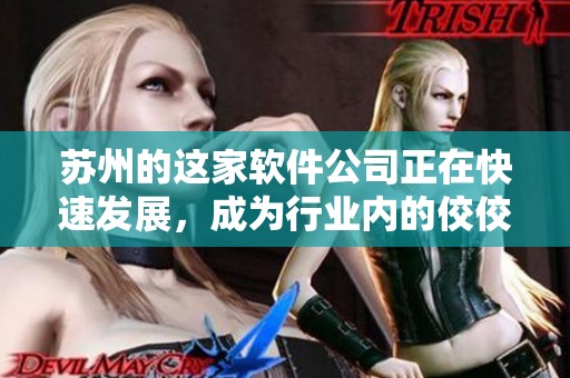 苏州的这家软件公司正在快速发展，成为行业内的佼佼者