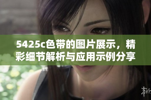 5425c色带的图片展示，精彩细节解析与应用示例分享