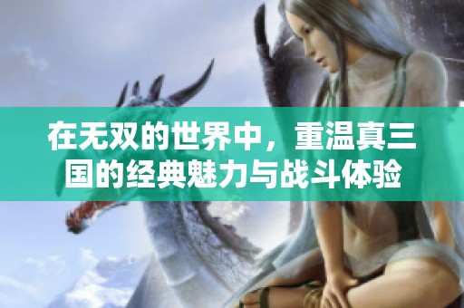 在无双的世界中，重温真三国的经典魅力与战斗体验