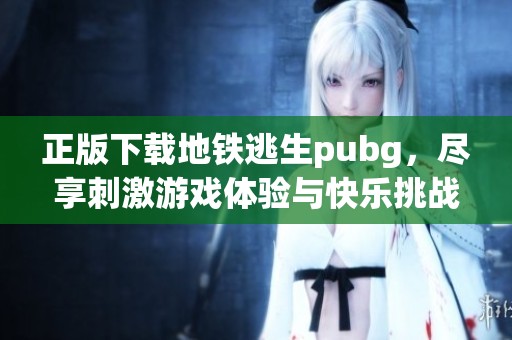 正版下载地铁逃生pubg，尽享刺激游戏体验与快乐挑战