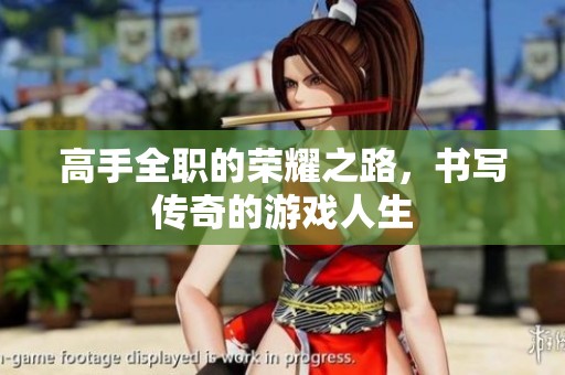 高手全职的荣耀之路，书写传奇的游戏人生