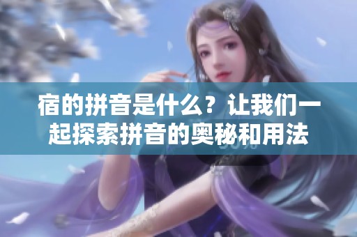 宿的拼音是什么？让我们一起探索拼音的奥秘和用法