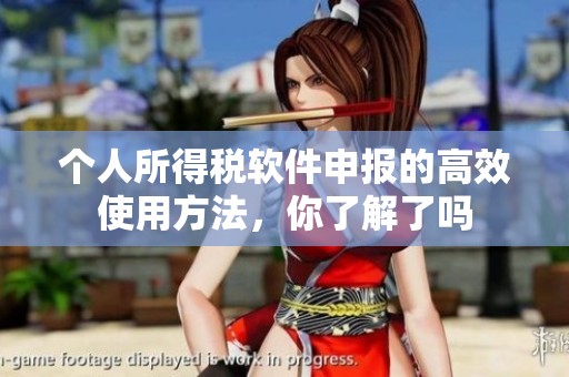 个人所得税软件申报的高效使用方法，你了解了吗