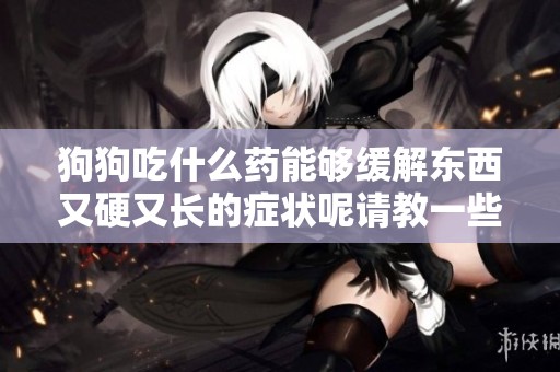 狗狗吃什么药能够缓解东西又硬又长的症状呢请教一些经验分享吧