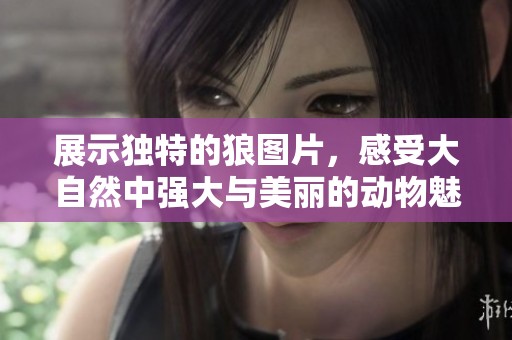 展示独特的狼图片，感受大自然中强大与美丽的动物魅力