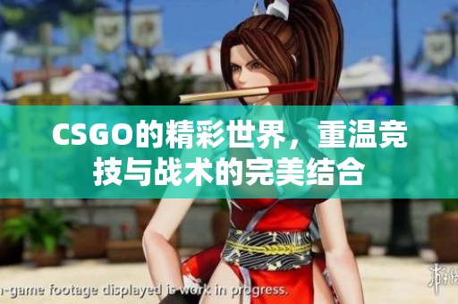 CSGO的精彩世界，重温竞技与战术的完美结合