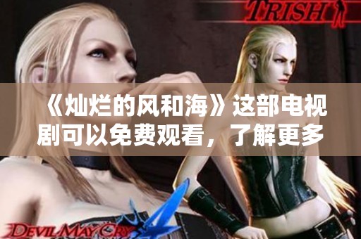 《灿烂的风和海》这部电视剧可以免费观看，了解更多精彩内容吧
