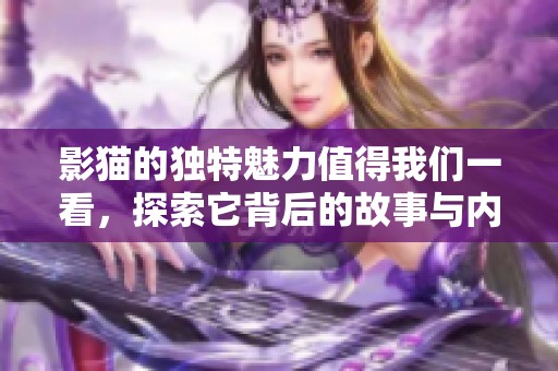 影猫的独特魅力值得我们一看，探索它背后的故事与内涵。