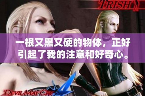 一根又黑又硬的物体，正好引起了我的注意和好奇心。