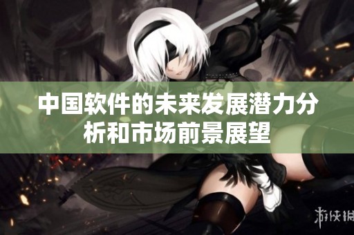 中国软件的未来发展潜力分析和市场前景展望