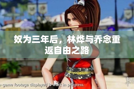 奴为三年后，林烨与乔念重返自由之路