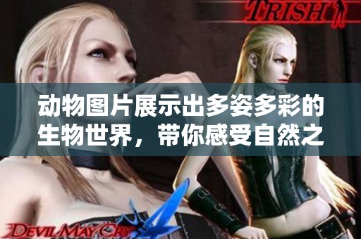 动物图片展示出多姿多彩的生物世界，带你感受自然之美的奇妙瞬间
