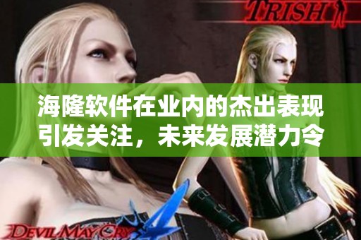 海隆软件在业内的杰出表现引发关注，未来发展潜力令人期待