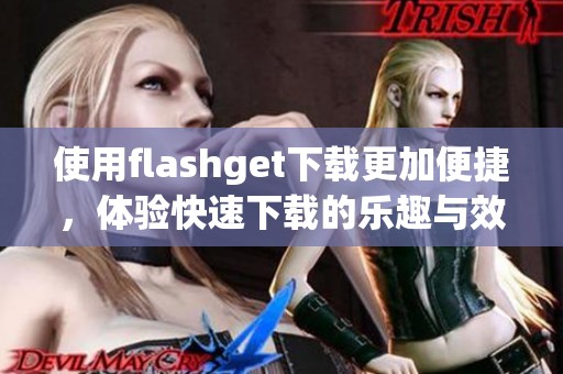使用flashget下载更加便捷，体验快速下载的乐趣与效率