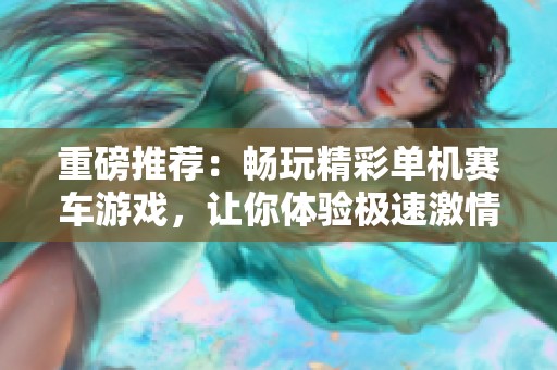 重磅推荐：畅玩精彩单机赛车游戏，让你体验极速激情与竞速乐趣