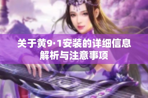 关于黄9·1安装的详细信息解析与注意事项