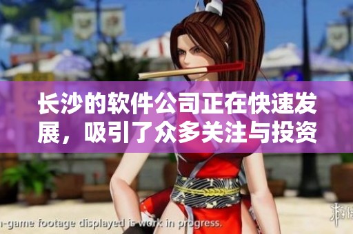 长沙的软件公司正在快速发展，吸引了众多关注与投资的目光。