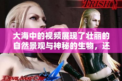 大海中的视频展现了壮丽的自然景观与神秘的生物，还原出绝美的海洋世界