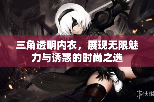 三角透明内衣，展现无限魅力与诱惑的时尚之选