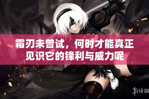 霜刃未曾试，何时才能真正见识它的锋利与威力呢